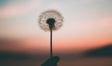 高考作文十大“高频主题”的立意指导