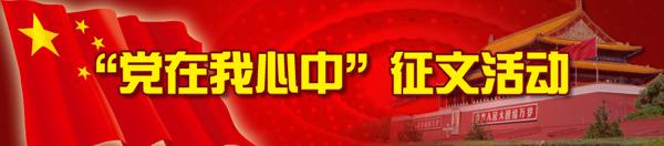 我眼中的上海征文1000字