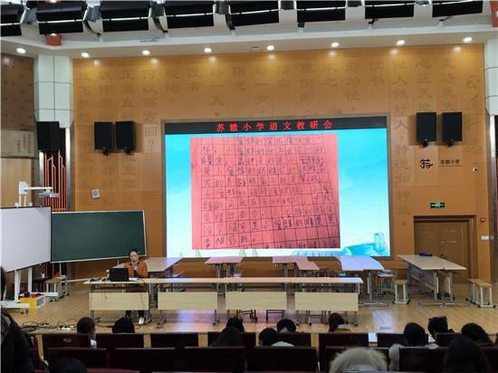 东坡区苏辙小学开展作文教学专题讲座活动 1