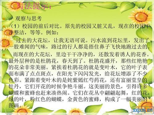 咀嚼金色的愿望初中作文