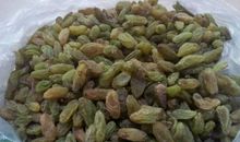 咀嚼杏仁之苦初中作文