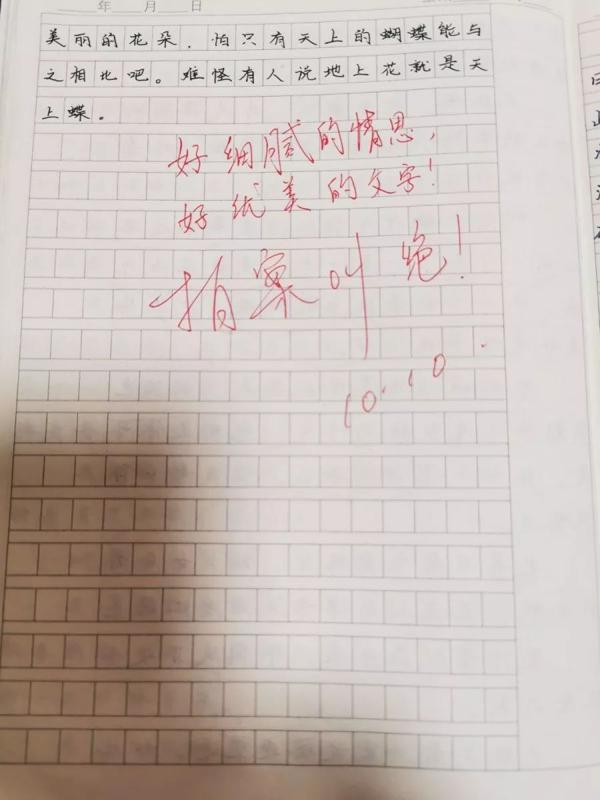 作文起步｜观察日记《秋天里的“春”》 4