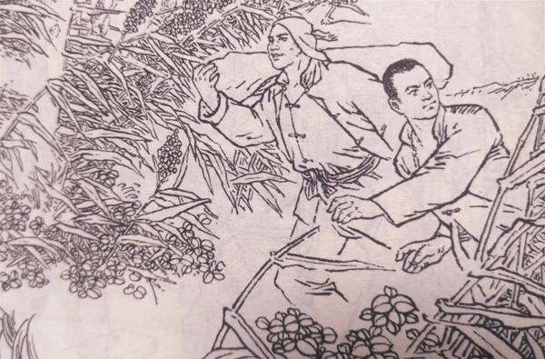教育部推荐必读书目|红色经典之 回民支队（3）（附读后感指导） 1