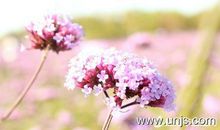 基础英语课程22范文