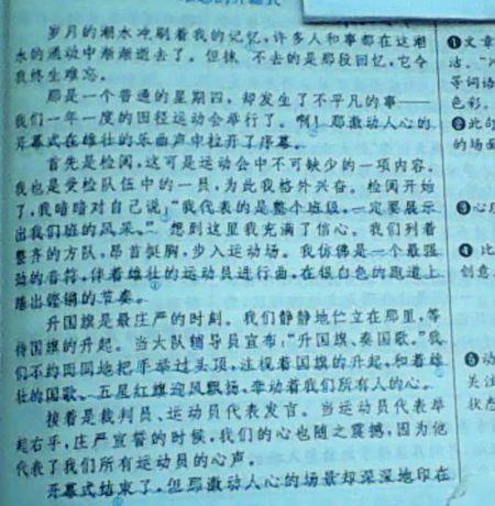关于运动会的作文5篇