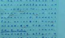 疯子的心叙事作文