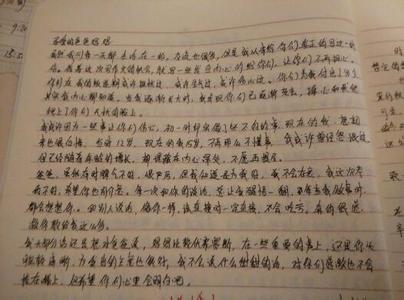 做家务的作文五篇