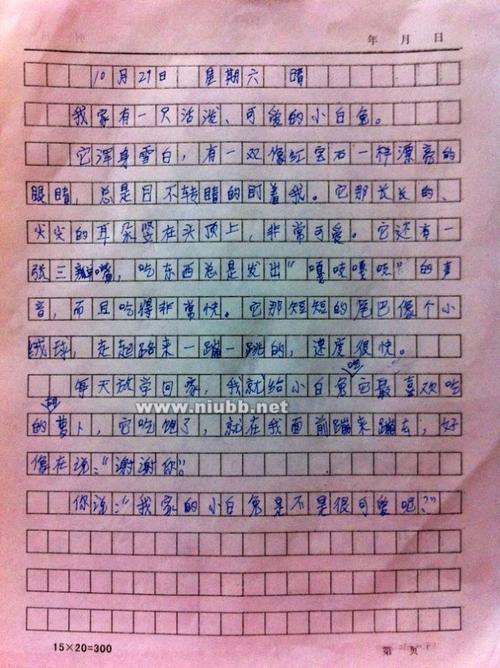 动物小狗观察日记5则