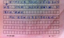 动物小狗观察日记5则