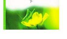 唐诗三百首读书笔记