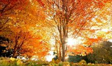 小学二年级描写秋天的句子