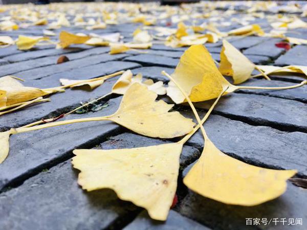 浅析激活中小学生作文积极性的几个要素 2
