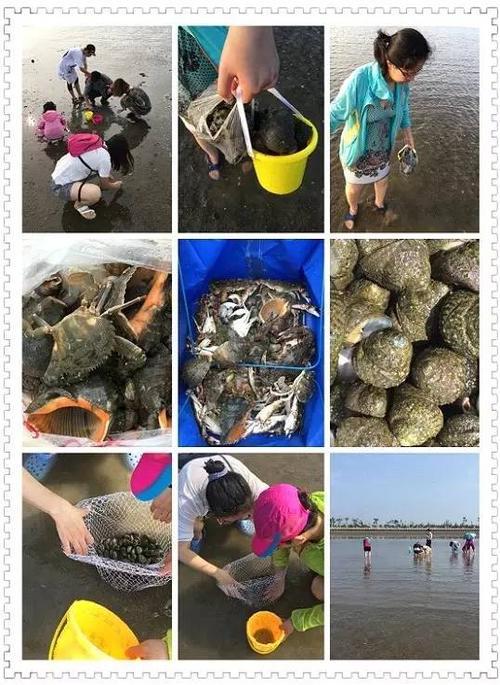 松鼠乐园游记 小学生游记400字