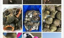 松鼠乐园游记 小学生游记400字