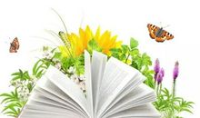 中考作文与点评 —— 人生如书，逐级而读