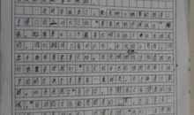 我的拿手好戏作文600字优秀范文