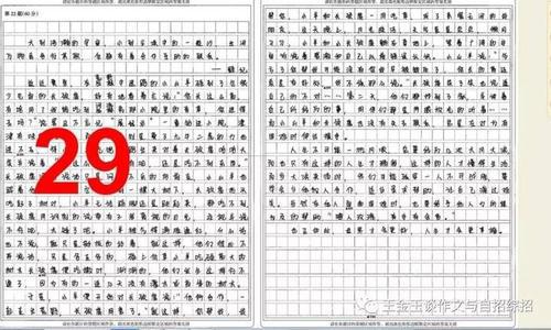 为了良心 文|江苏一考生考场作文
