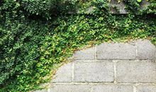 宿老师教作文之八种精彩结尾法