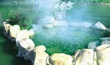 汤池温泉一日游 五年级泡温泉作文1100字