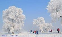 家乡雾凇 美丽的雾凇作文800字