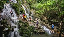 呀诺达雨林一日游 五年级记叙文300字