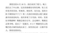 厦门之旅 难忘的厦门之旅作文500字