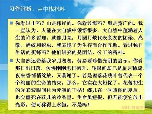 生命 探讨生命的优秀作文500字
