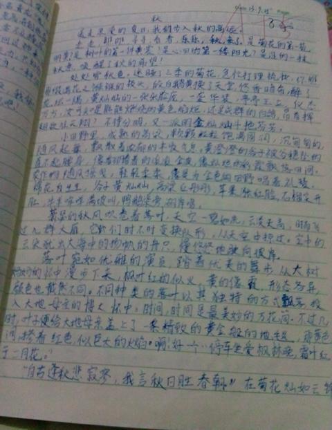 在双休日里 初中生我的周末作文500字