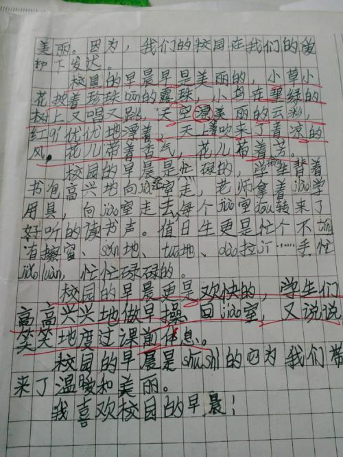美丽的校园 我喜欢校园生活作文500字