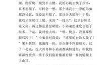 天游峰 五年级登山写景作文400字