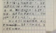 刺猬 三年级写人作文300字