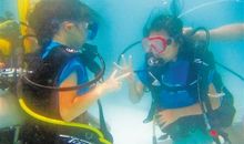 潜水 难忘的潜水体验作文300字