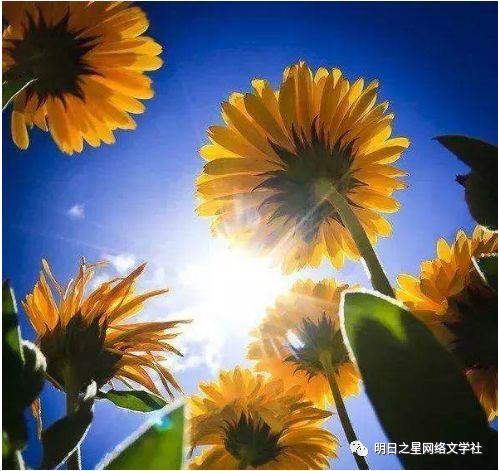 【浙江】陆星言《有温度的作文评点课》