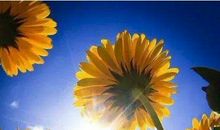 【浙江】陆星言《有温度的作文评点课》