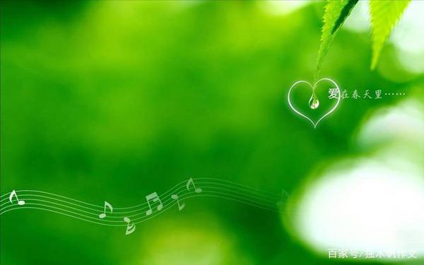 五年级作文:我的心爱之物