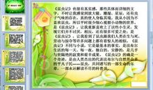 潍坊砺智小橘灯作文优秀学员作品推荐：《昆虫记》读后感