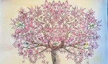 读《秘密花园》有感 《秘密花园》读后感1900字