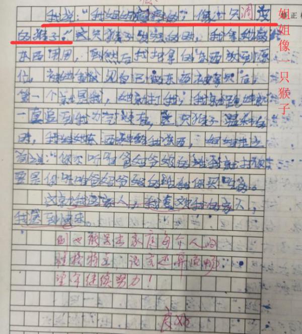 四年级孩子作文“小小动物园”，妈妈看了很生气，爸爸姐姐很高兴 3