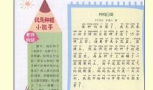 优秀作文赏析：《成长的日记》(附电子版)