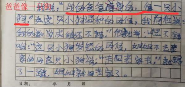 四年级孩子作文“小小动物园”，妈妈看了很生气，爸爸姐姐很高兴 2