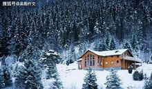 原创 吴刚作文| 闵思涵 《雪之趣》