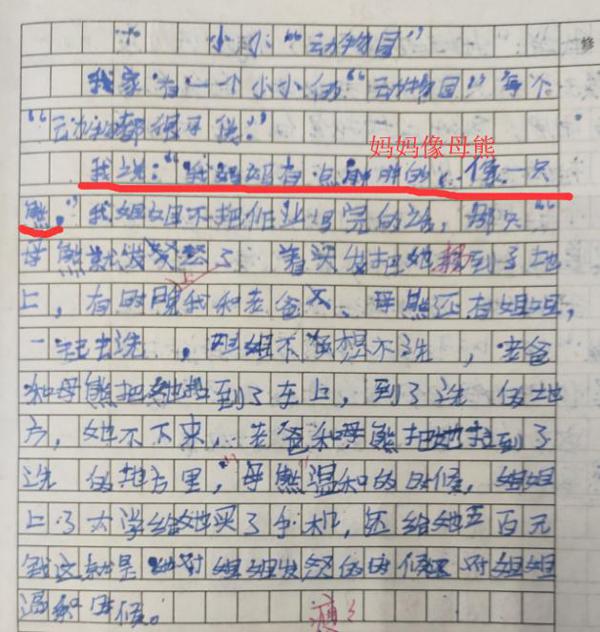 四年级孩子作文“小小动物园”，妈妈看了很生气，爸爸姐姐很高兴 1