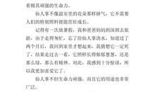 我的植物朋友作文300字以上