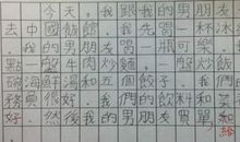 我和老外打交道 一次难忘的经历作文800字