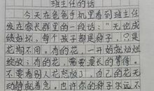 小学生作文：老师看后肚子疼，父母看后想打人，网友：“天才”！