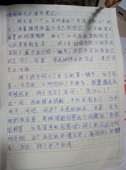 《骆驼祥子》读书笔记8篇
