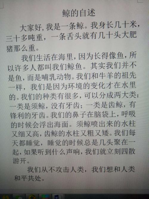 鲸的自述700字作文