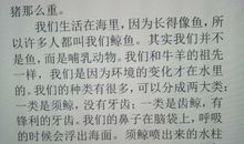 鲸的自述700字作文