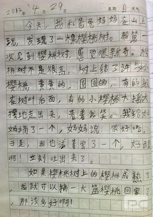 乡村的早晨作文300字
