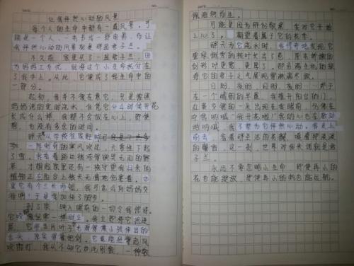 做家务作文1400字